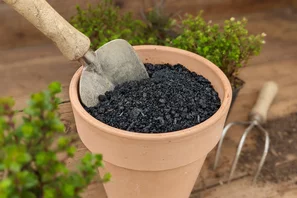 L'autre or noir du jardinier, avec le compost. La Terra Preta pour améliorer la qualité du sol.