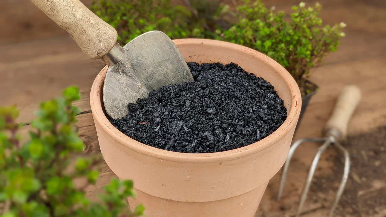 Das andere schwarze Gold des Gärtners, neben dem Kompost. Terra Preta zur Verbesserung der Bodenqualität.