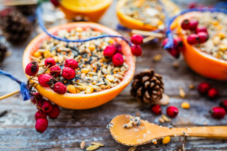 Vogelfütterung im Garten