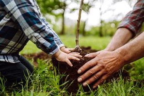 Planter des arbres en automne | © Andermatt Biogarten AG