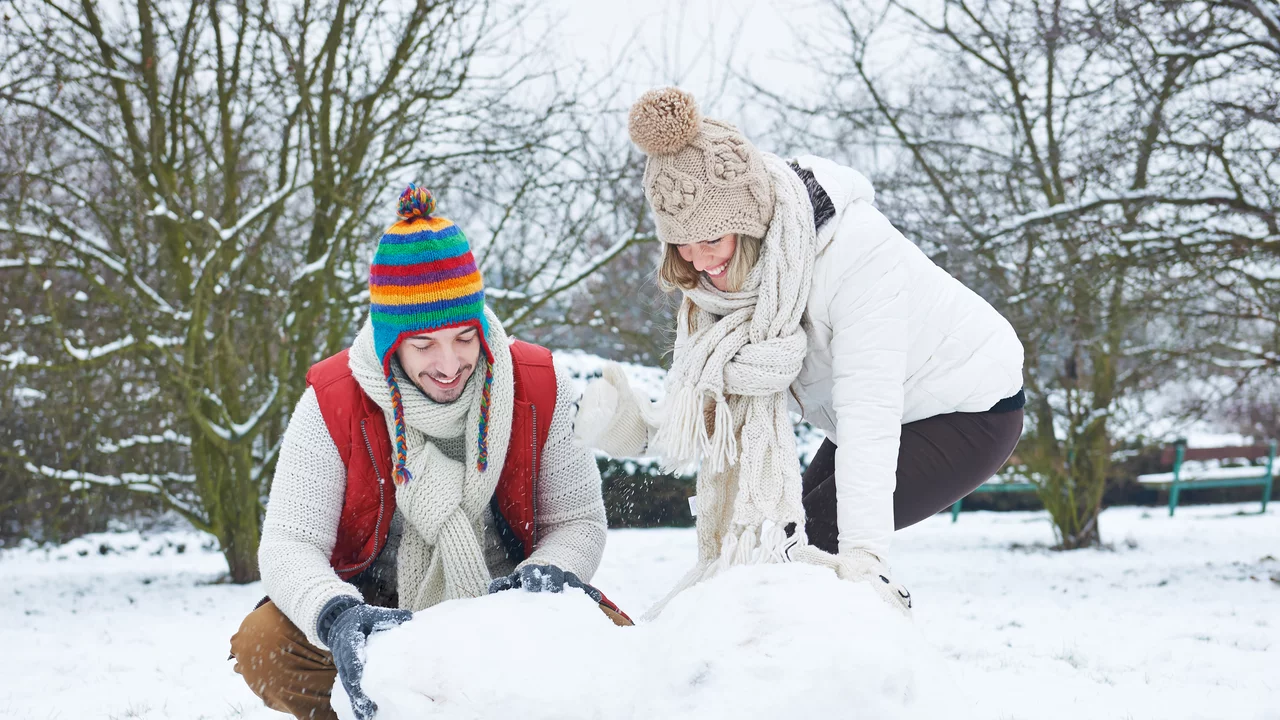 Check-lists de jardinage pour le mois de janvier